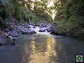 thn_NZ leden-unor 2006 229.jpg